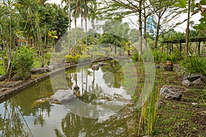 Palm collection in Ñity park in Kuching, Malaysia, tropical garden with large trees, pond with small waterfall