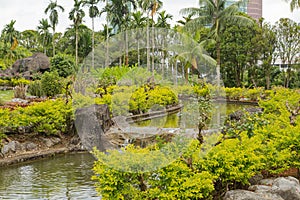 Palm collection in Ñity park in Kuching, Malaysia, tropical garden with large trees, pond with small waterfall