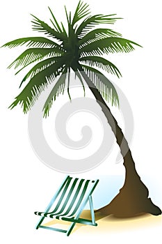 Palm deckchair