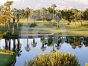 Palm Desert