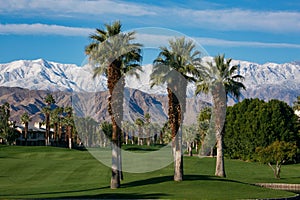 Palm Desert Desert Springs golf course mountains snow capped Palm trees