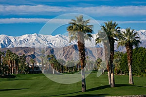 Palm Desert Desert Springs golf course mountains snow capped Palm trees