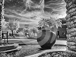 Palm Desert garden park scene, infrared