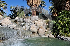 Palm Desert oasis