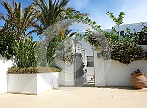 The palm and door on the villa.