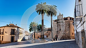 Palm-fringed square and old church in the monumental town of Caceres, Spain.