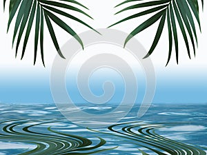 Palm frond leaf with blue water and reflection with copy space