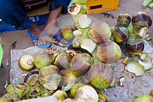 Palm fruits on Don Det