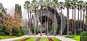 Palm garden in National Garden
