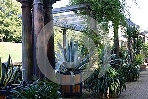 Palm Garden in the Resort Bad Pyrmont, Lower Saxony
