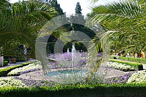 Palm Garden in the Resort Bad Pyrmont, Lower Saxony