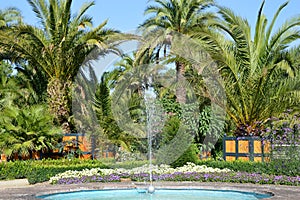 Palm Garden in the Resort Bad Pyrmont, Lower Saxony