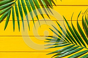 Palm green leaf on yellow wood view from above