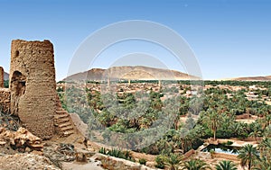 Palm grove of Figuig