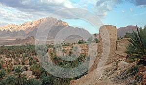 Palm grove of Figuig