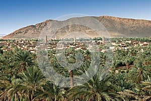 Palm grove of Figuig