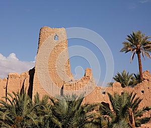 Palm grove of Figuig