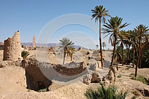 Palm grove of  Figuig in Morocco photo