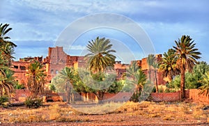 Palm grove at Ouarzazate, Morocco