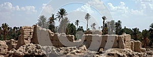 Palm grove of Tafilalet Sijilmassa in morocco