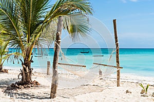Palm and hammock on Zanzibar beach with blue sky and ocean on the background