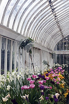 Palm House in Belfast