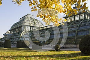 Palm house Vienna