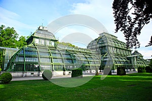 Palm house,Vienna, Austria