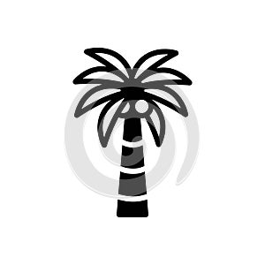 Black solid icon for Palm, tree and coconut