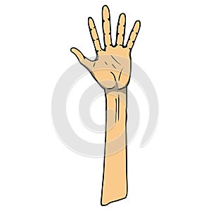 Palm icon. Vector illustration human hand palm. Hand drawn arm