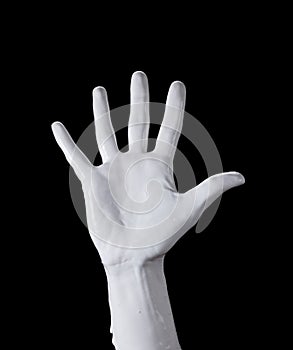 Palm isolated caucasian hand gesture, showing empty