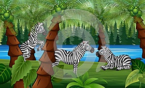 Palm jungle landscape with cartoon zebras enjoying nature