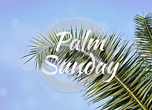 Palm leaf against blue sky with text Palm Sunday