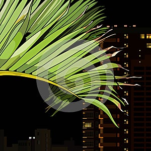 Palm leaf on the background of the city at night