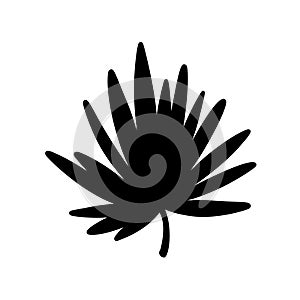 Palm leaf. Black silhouette. Tropical forest element. Vector illustration