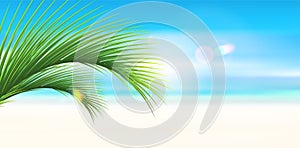 Palm leaf in the corner on tropical beach background. Empty sandy beach. Vacation and travel concept. Copy space. Vector