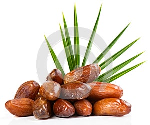 Palm leaf and dates