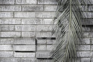 Palm leaf on gray brick wall background, gloomy grunge background