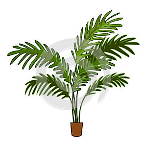 Palm leaf houseplant icon cartoon vector. Care interior office