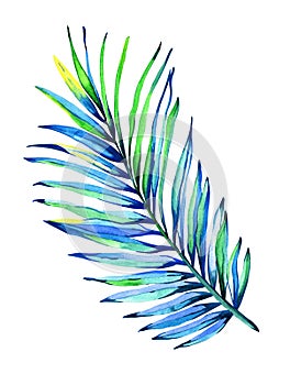 Palm leaf illustration