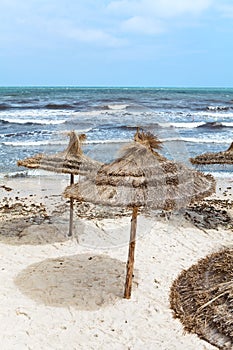 Palm leaf parasols on sea shore