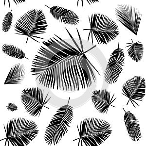 Palm leaf seamless pattern