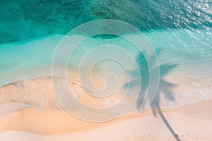 palm leaf shadow on the beach.