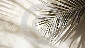 Palm Leaf Shadow on a Beige Wall
