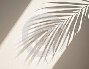 Palm Leaf Shadow on Beige Wall