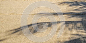 Palm leaf shadow on sand, top view, copy space