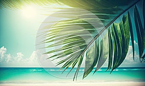 a palm leaf is shown on a sunny day at the beach