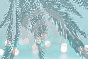 Palm leaf silhouette on festive blurry lights on soft teal turquoise