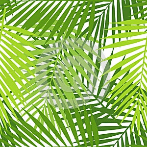 Palm leaf silhouettes seamless pattern. Tropical leaves.