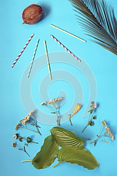 Palm leaf, sun from coconut and cocktail tubes on a bright blue background, top view, concept of seasonal relaxation